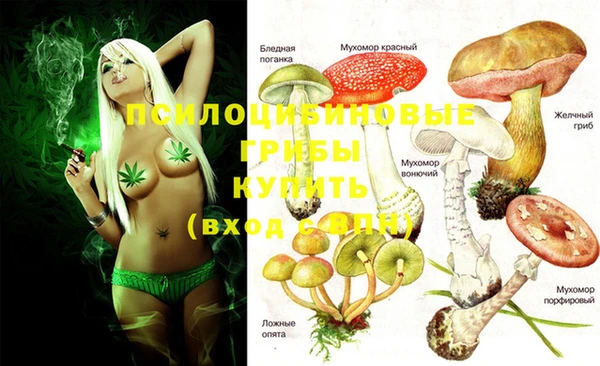 каннабис Россошь