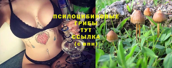прущие крисы Приозерск