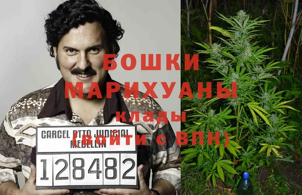 ПСИЛОЦИБИНОВЫЕ ГРИБЫ Протвино