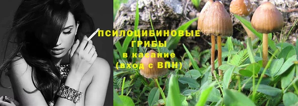 прущие крисы Приозерск