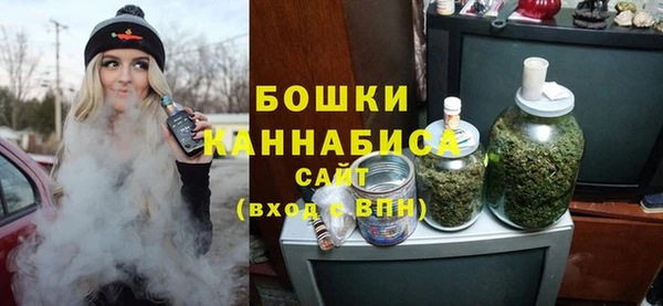 ПСИЛОЦИБИНОВЫЕ ГРИБЫ Протвино